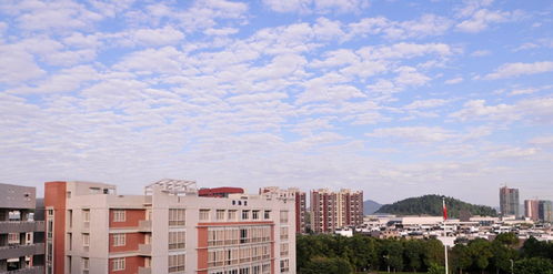 广州中学名校自考,广州南沙第一中学高中部自考时间