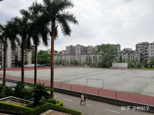 广州大学桂花岗校区自考,广州大学成人高考分数线是多少？